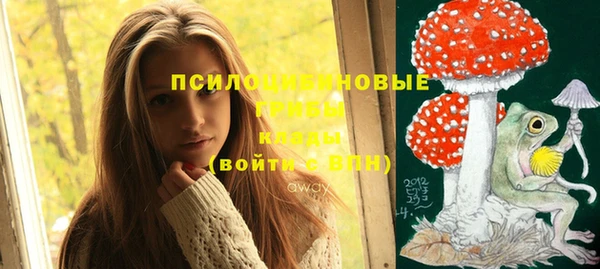 стафф Абдулино