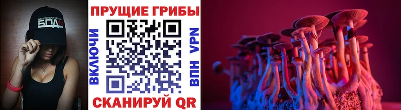 цены   blacksprut как зайти  маркетплейс Telegram  Камень-на-Оби  Галлюциногенные грибы MAGIC MUSHROOMS 